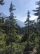Maple Heather Trail, WA